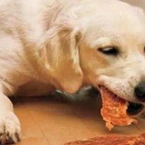 河北“娱乐吃瓜酱”持续火爆，揭秘网络吃瓜文化的多样面貌