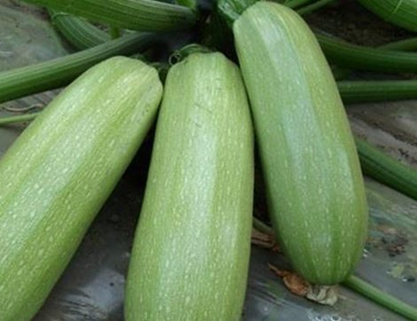 2024娱乐圈大戏时间线回顾：揭秘吃瓜群众的狂欢背后