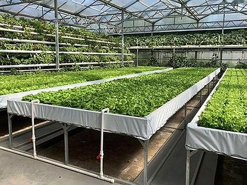 娱乐圈热议背后：明星八卦新动态与吃瓜三姐的传奇影响