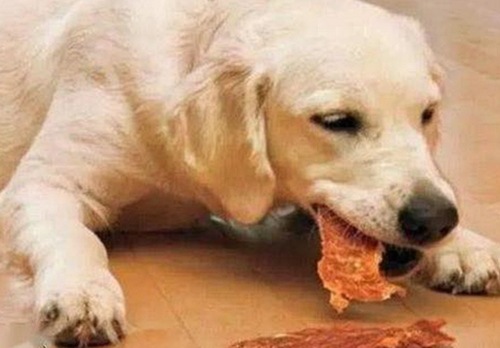 河北“娱乐吃瓜酱”持续火爆，揭秘网络吃瓜文化的多样面貌