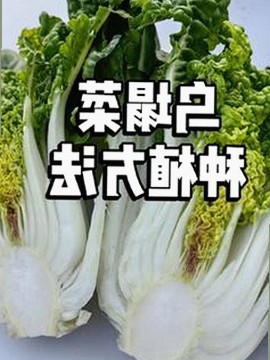 黄景瑜近况曝光：背后故事逐渐明朗，演艺路上的挑战与机遇