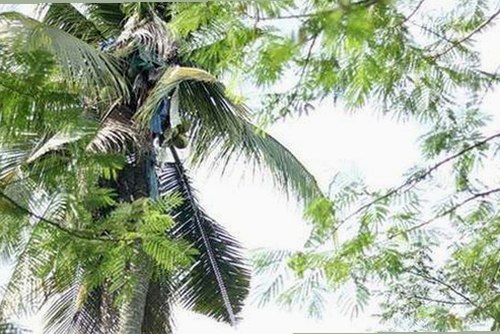 黄景瑜近况曝光：背后故事逐渐明朗，演艺路上的挑战与机遇